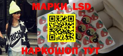 дурь Сланцы