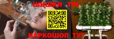 дурь Сланцы