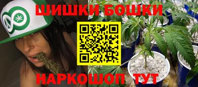 дурь Сланцы