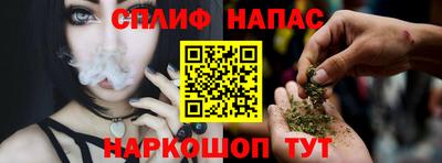 крисы Славянск-на-Кубани