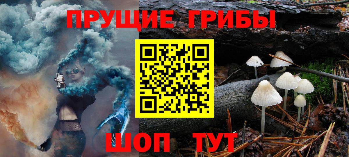Галлюциногенные грибы прущие грибы Мытищи