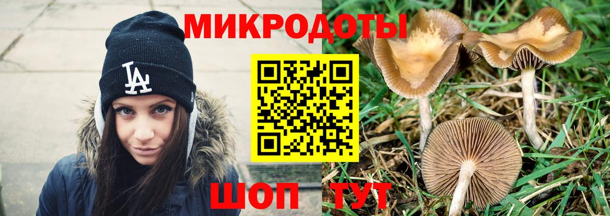 Мытищи  Галлюциногенные грибы Psilocybe  Галлюциногенные грибы GOLDEN TEACHER  Вход с VPN 